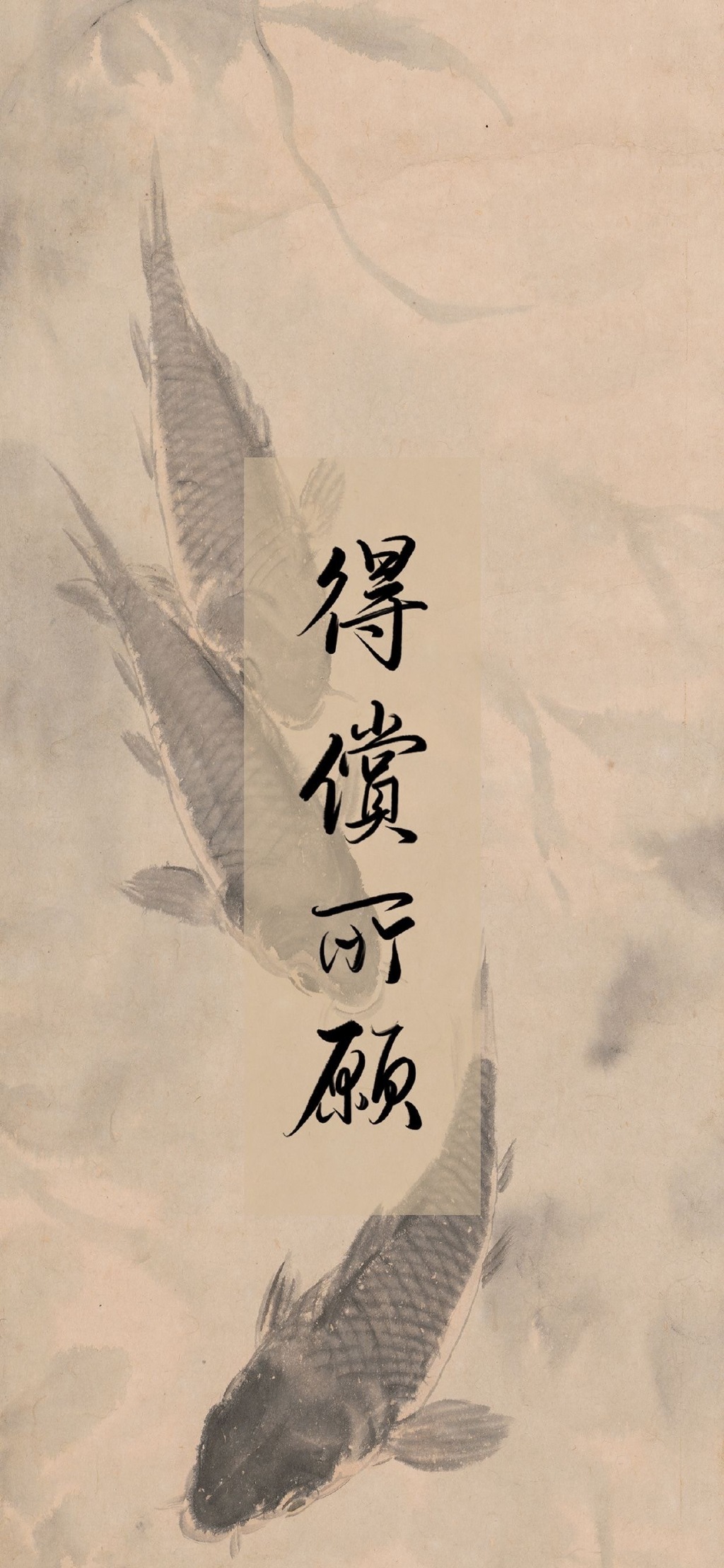 005Qblgkgy1hkbqjmrh31j30yi22ogxk.jpg